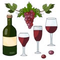 Set of hand drawn elements: bottle with red wine, glasses and grapes Royalty Free Stock Photo